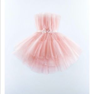 Giambattista Valli x H&M Pink Tulle Dress